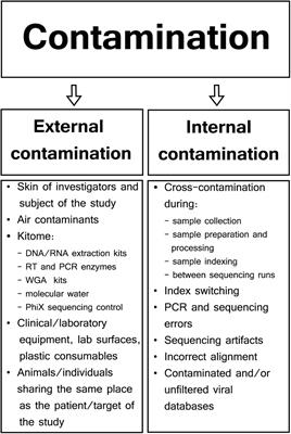 Contamination Issue in Viral Metagenomics: Problems, Solutions, and Clinical Perspectives